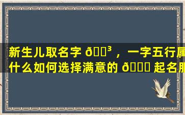 新生儿取名字 🐳 ，一字五行属什么如何选择满意的 🕊 起名服务